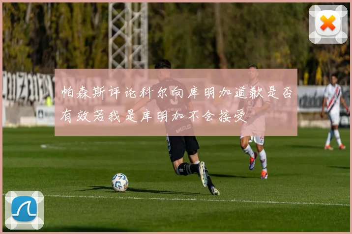 帕森斯评论科尔向库明加道歉是否有效若我是库明加不会接受