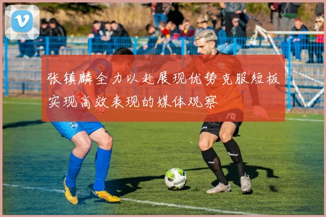 张镇麟全力以赴展现优势克服短板实现高效表现的媒体观察